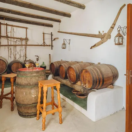 Apartmán Canaryislandshost I Camellera *