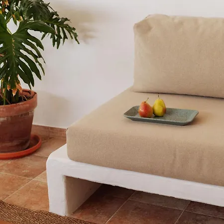 Canaryislandshost I Camellera Apartmán